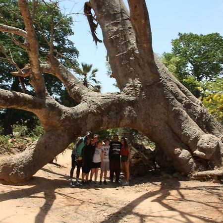 Maison d'hôtes Centre Touristique et Culturel Casamance à Diakene Ouolof Extérieur photo