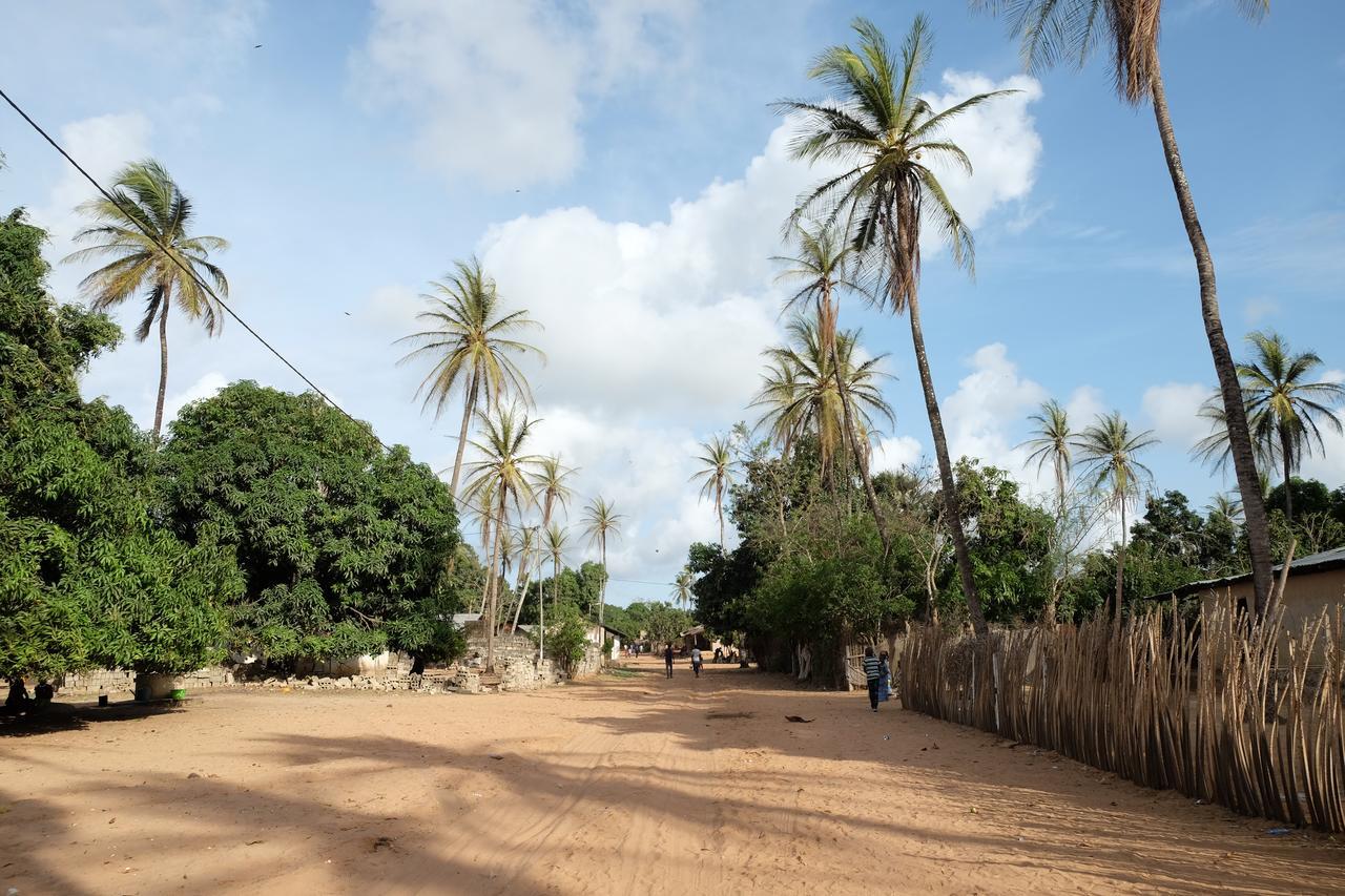 Maison d'hôtes Centre Touristique et Culturel Casamance à Diakene Ouolof Extérieur photo