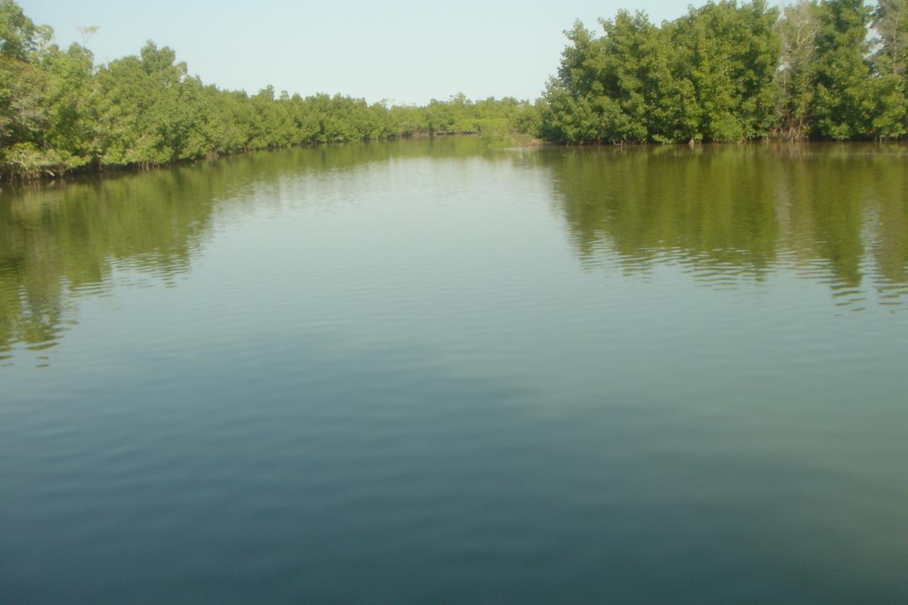 Maison d'hôtes Centre Touristique et Culturel Casamance à Diakene Ouolof Extérieur photo