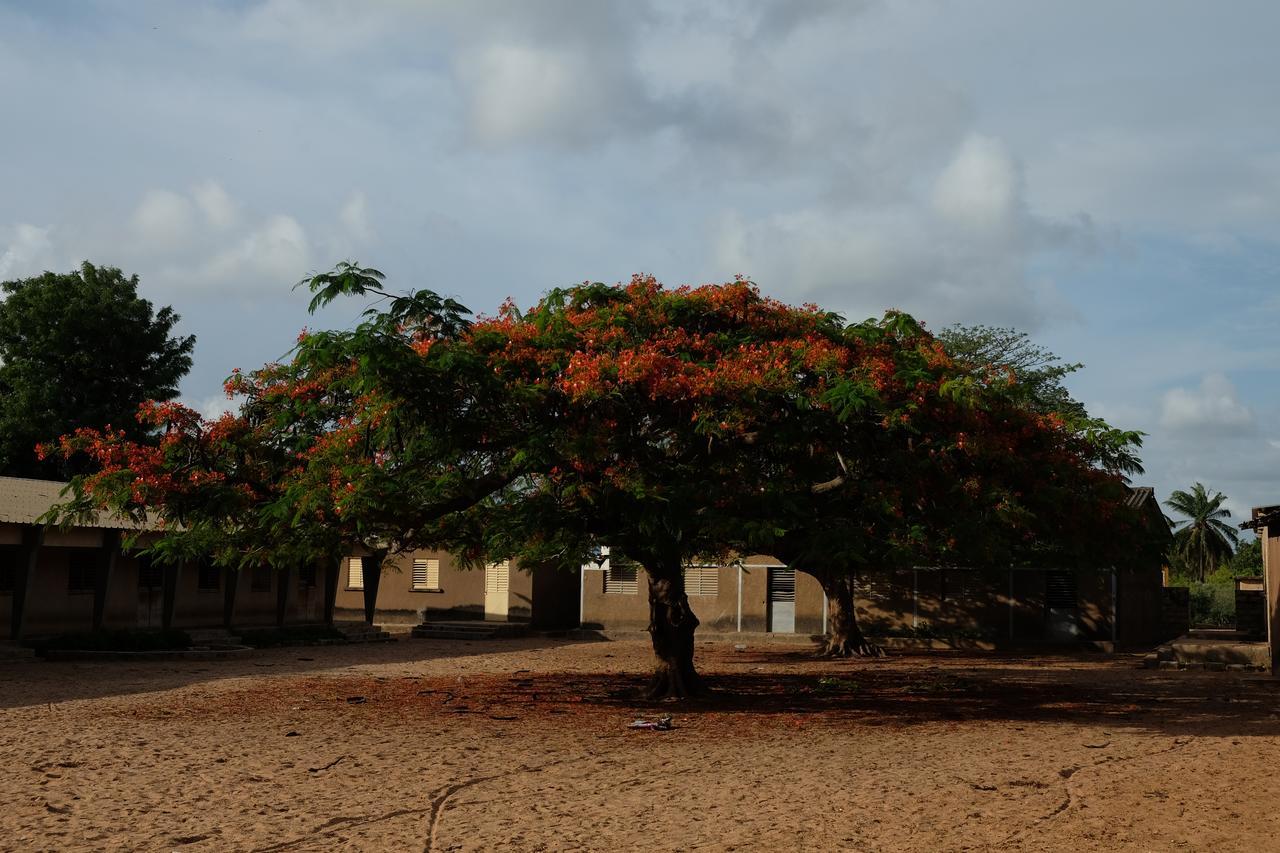 Maison d'hôtes Centre Touristique et Culturel Casamance à Diakene Ouolof Extérieur photo