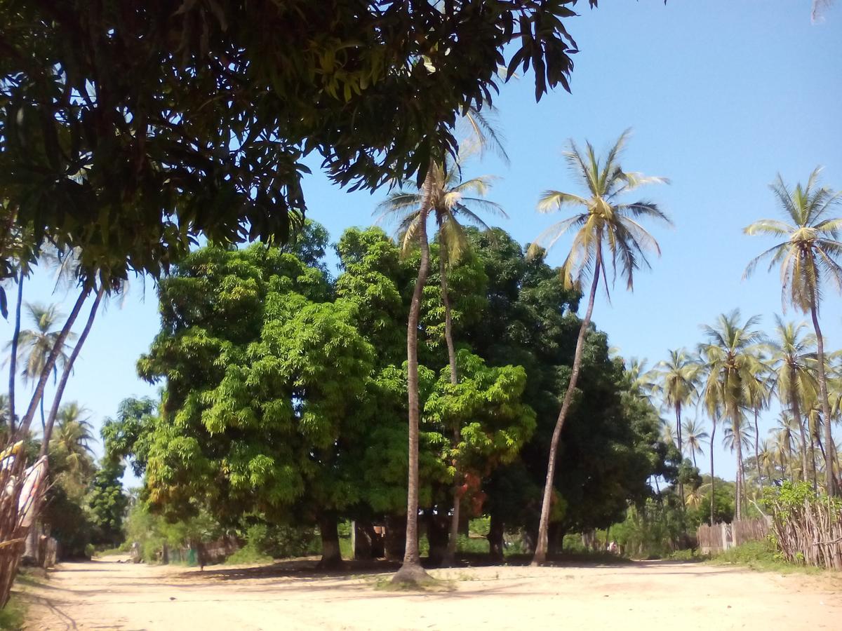 Maison d'hôtes Centre Touristique et Culturel Casamance à Diakene Ouolof Extérieur photo