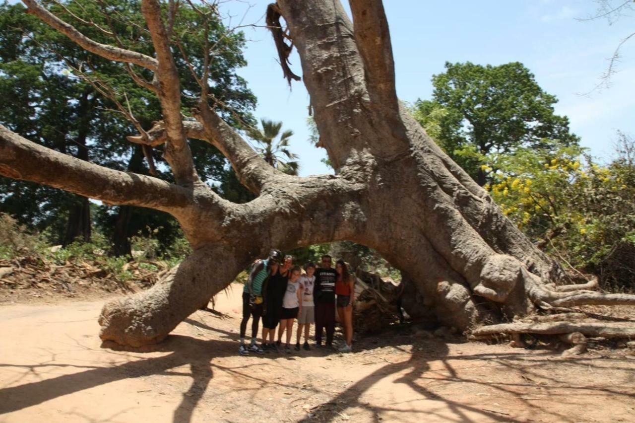 Maison d'hôtes Centre Touristique et Culturel Casamance à Diakene Ouolof Extérieur photo